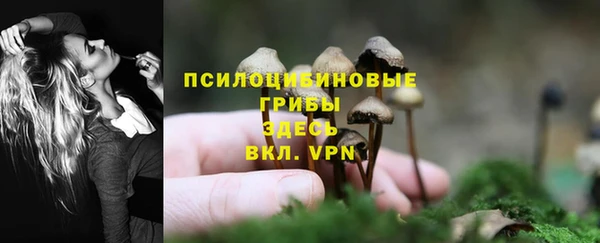 ешки Елабуга